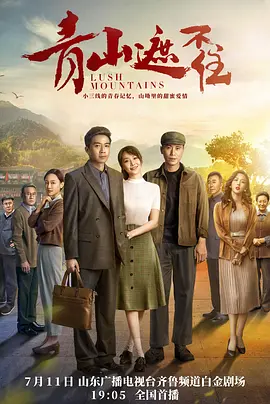 王铮新电视剧青山遮不住