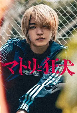 九条ジョー新电视剧缉毒警与疯犬
