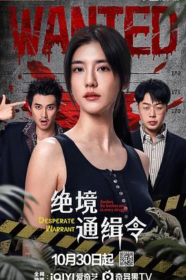 淮文新电视剧绝境通缉令