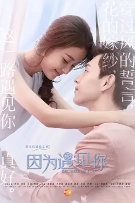 孙怡主演电视剧因为遇见你