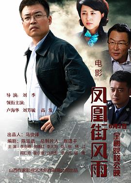 卢海华主演电视剧凤凰街风雨