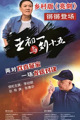 李幼斌主演电视剧王初一与刘十五