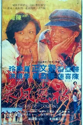 刘文正主演电影初恋风暴1978