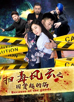 高宇格主演电视剧扫毒风云之因货起的祸