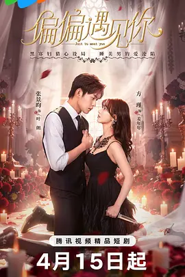 孙箫涵主演电视剧偏偏遇见你