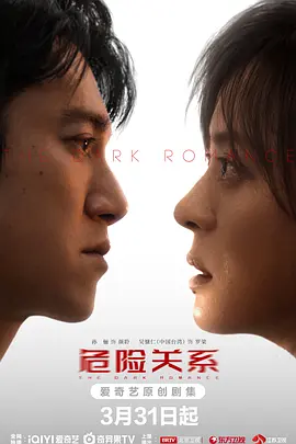王戈新电视剧危险关系