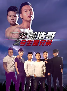 张浩主演电视剧二龙湖浩哥之今生是兄弟