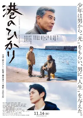 馆博主演电视剧港之光