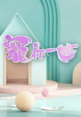 戴祖仪主演综艺宠你一世寵你一世