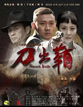 陶红新电视剧刀出鞘