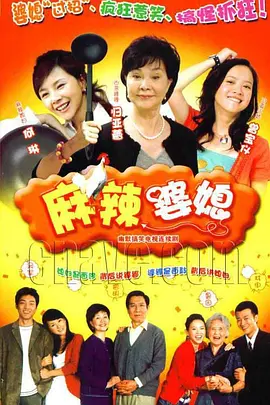 朱玉荣主演电视剧麻辣婆媳