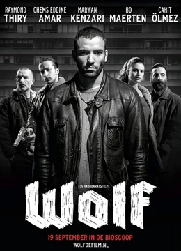 马尔万主演电视剧狼（2013）