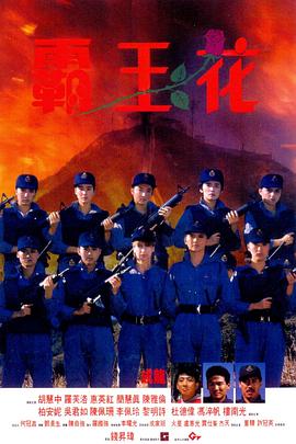 胡慧中新电影霸王花
