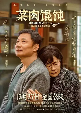 潘虹主演电视剧菜肉馄饨 普通话版